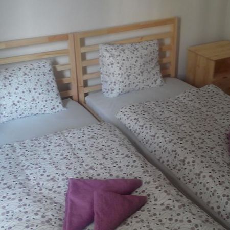 Apartment Zamecka Дечин Стая снимка